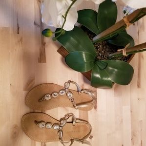 Gorgeous Grecian Leather Sandals